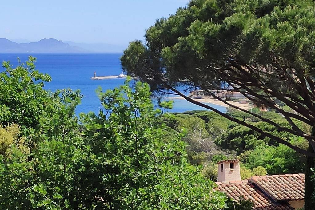 Suite Tropezienne Saint-Tropez Exterior foto